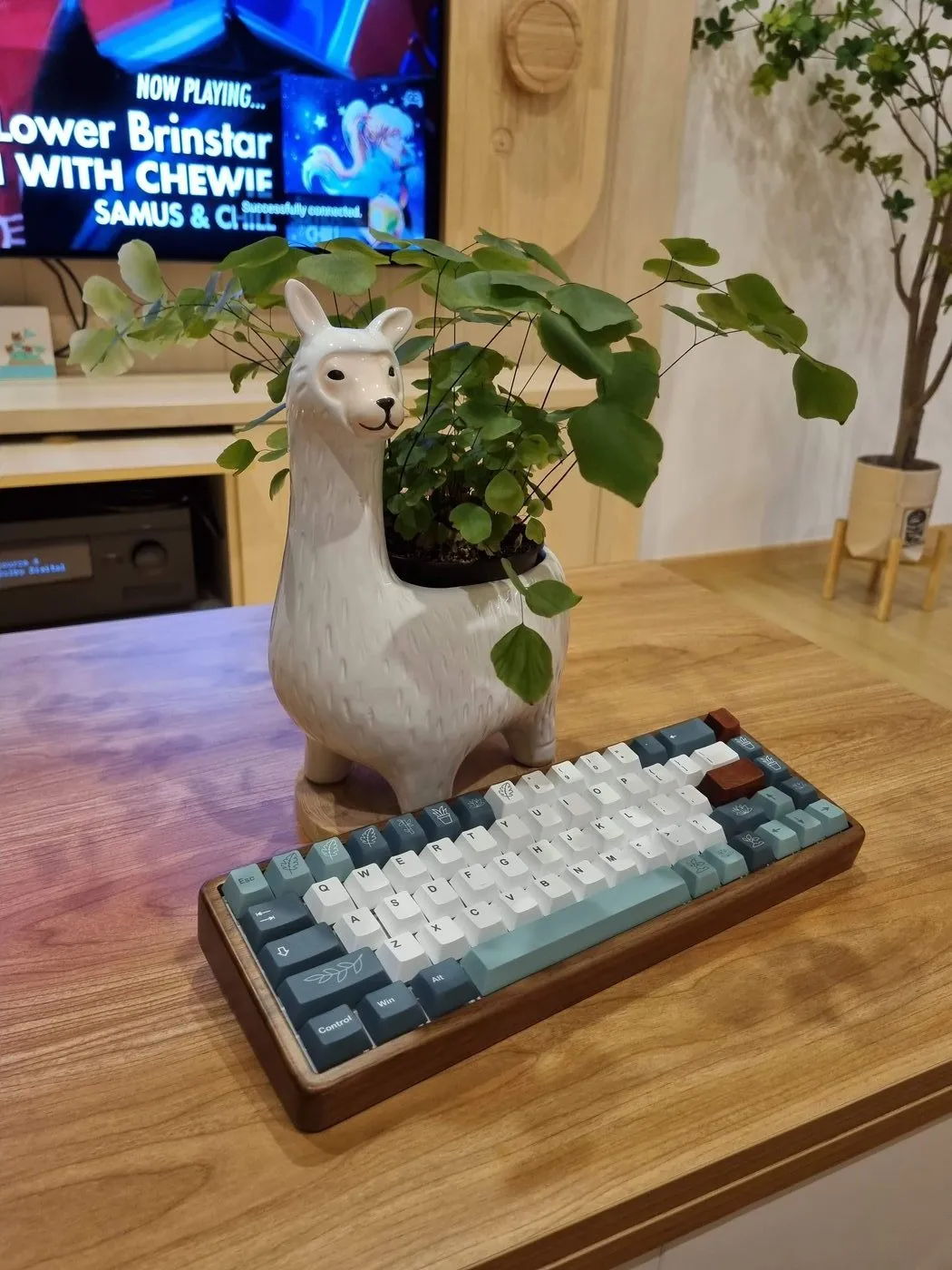 A custom 60% mechanical keyboard in a walnut case with teal and white botanical keycaps, beside a llama-shaped planter and a retro game glowing on a TV