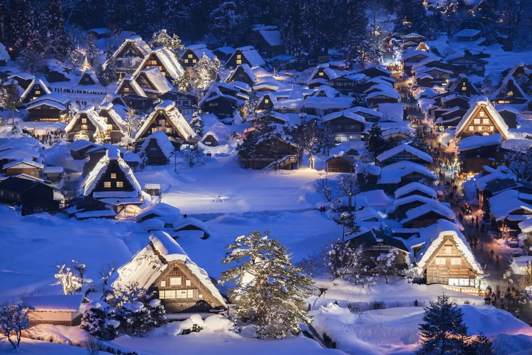 The thatched gassho-zukuri farmhouses of Shirakawa-go lit up at dusk under deep snow